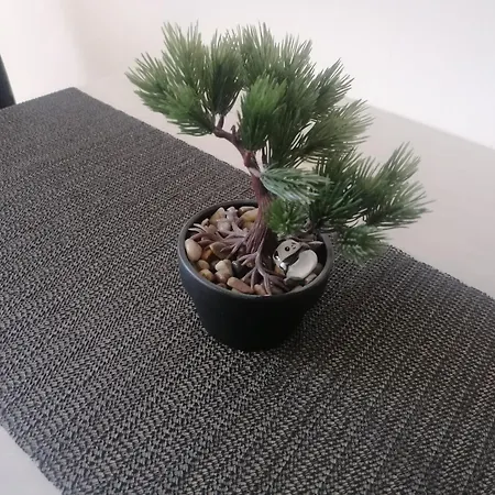 Mirela Apartmán
